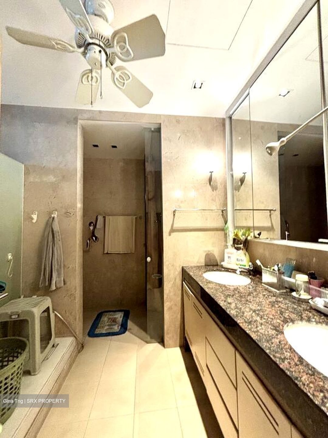 The Grange (D10), Condominium #507059391